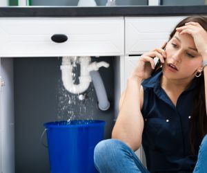 About Emergency plumbing pros Farmington, MN
